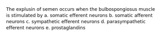 The explusin of semen occurs when the bulbospongiosus muscle is stimulated by a. somatic efferent neurons b. somatic afferent neurons c. sympathetic efferent neurons d. parasympathetic efferent neurons e. prostaglandins