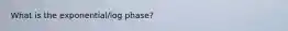 What is the exponential/log phase?