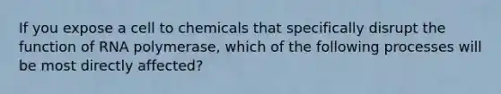 If you expose a cell to chemicals that specifically disrupt the function of RNA polymerase, which of the following processes will be most directly affected?