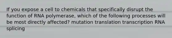 If you expose a cell to chemicals that specifically disrupt the function of RNA polymerase, which of the following processes will be most directly affected? mutation translation transcription RNA splicing