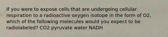 If you were to expose cells that are undergoing cellular respiration to a radioactive oxygen isotope in the form of O2, which of the following molecules would you expect to be radiolabeled? CO2 pyruvate water NADH