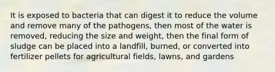 It is exposed to bacteria that can digest it to reduce the volume and remove many of the pathogens, then most of the water is removed, reducing the size and weight, then the final form of sludge can be placed into a landfill, burned, or converted into fertilizer pellets for agricultural fields, lawns, and gardens