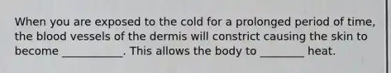 When you are exposed to the cold for a prolonged period of time, the blood vessels of the dermis will constrict causing the skin to become ___________. This allows the body to ________ heat.