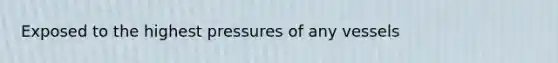 Exposed to the highest pressures of any vessels