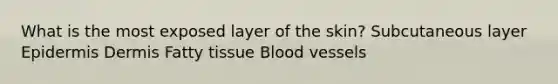 What is the most exposed layer of the skin? Subcutaneous layer Epidermis Dermis Fatty tissue Blood vessels