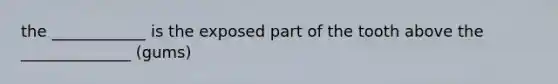 the ____________ is the exposed part of the tooth above the ______________ (gums)