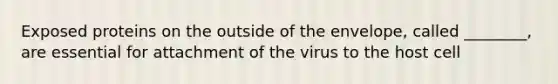 Exposed proteins on the outside of the envelope, called ________, are essential for attachment of the virus to the host cell