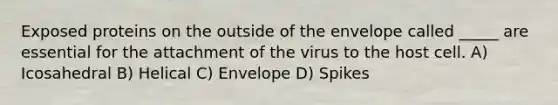 Exposed proteins on the outside of the envelope called _____ are essential for the attachment of the virus to the host cell. A) Icosahedral B) Helical C) Envelope D) Spikes