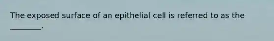 The exposed surface of an epithelial cell is referred to as the ________.