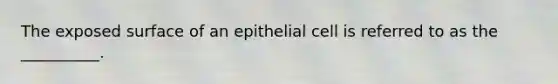 The exposed surface of an epithelial cell is referred to as the __________.