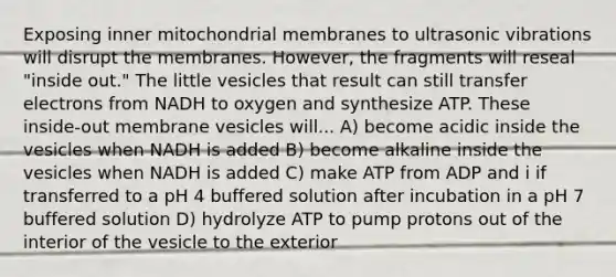 Exposing inner mitochondrial membranes to ultrasonic vibrations will disrupt the membranes. However, the fragments will reseal "inside out." The little vesicles that result can still transfer electrons from NADH to oxygen and synthesize ATP. These inside-out membrane vesicles will... A) become acidic inside the vesicles when NADH is added B) become alkaline inside the vesicles when NADH is added C) make ATP from ADP and i if transferred to a pH 4 buffered solution after incubation in a pH 7 buffered solution D) hydrolyze ATP to pump protons out of the interior of the vesicle to the exterior