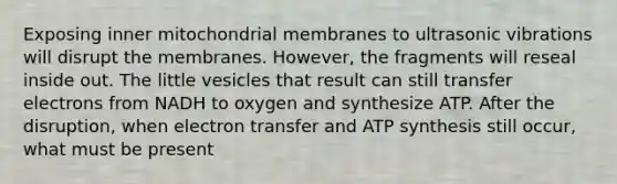 Exposing inner mitochondrial membranes to ultrasonic vibrations will disrupt the membranes. However, the fragments will reseal inside out. The little vesicles that result can still transfer electrons from NADH to oxygen and synthesize ATP. After the disruption, when electron transfer and ATP synthesis still occur, what must be present