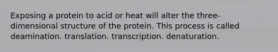 Exposing a protein to acid or heat will alter the three-dimensional structure of the protein. This process is called ﻿﻿﻿deamination. ﻿﻿﻿translation. ﻿﻿﻿transcription. denaturation.