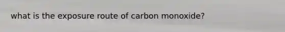 what is the exposure route of carbon monoxide?