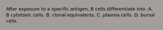 After exposure to a specific antigen, B cells differentiate into :A. B cytotoxic cells. B. clonal equivalents. C. plasma cells. D. bursal cells.