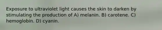 Exposure to ultraviolet light causes the skin to darken by stimulating the production of A) melanin. B) carotene. C) hemoglobin. D) cyanin.