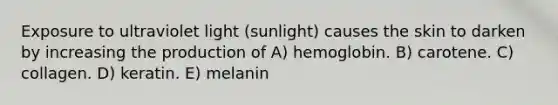 Exposure to ultraviolet light (sunlight) causes the skin to darken by increasing the production of A) hemoglobin. B) carotene. C) collagen. D) keratin. E) melanin