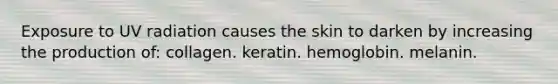 Exposure to UV radiation causes the skin to darken by increasing the production of: collagen. keratin. hemoglobin. melanin.