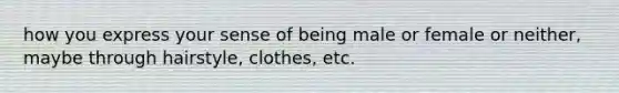 how you express your sense of being male or female or neither, maybe through hairstyle, clothes, etc.