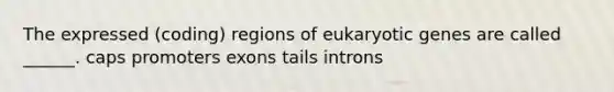 The expressed (coding) regions of eukaryotic genes are called ______. caps promoters exons tails introns