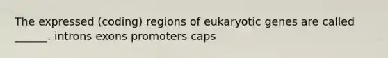 The expressed (coding) regions of eukaryotic genes are called ______. introns exons promoters caps