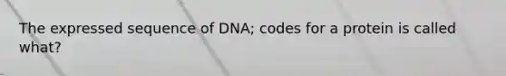 The expressed sequence of DNA; codes for a protein is called what?