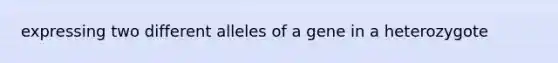 expressing two different alleles of a gene in a heterozygote