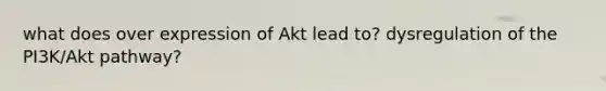 what does over expression of Akt lead to? dysregulation of the PI3K/Akt pathway?