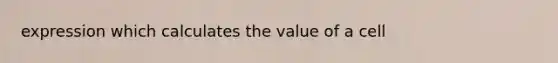 expression which calculates the value of a cell