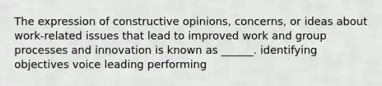 The expression of constructive opinions, concerns, or ideas about work-related issues that lead to improved work and group processes and innovation is known as ______. identifying objectives voice leading performing