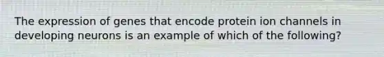 The expression of genes that encode protein ion channels in developing neurons is an example of which of the following?