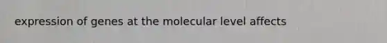 expression of genes at the molecular level affects