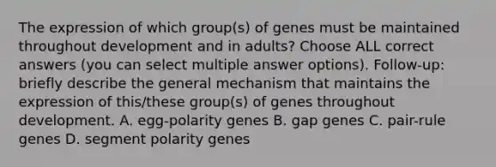 The expression of which group(s) of genes must be maintained throughout development and in adults? Choose ALL correct answers (you can select multiple answer options). Follow-up: briefly describe the general mechanism that maintains the expression of this/these group(s) of genes throughout development. A. egg-polarity genes B. gap genes C. pair-rule genes D. segment polarity genes