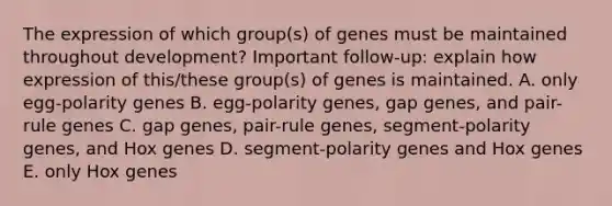 The expression of which group(s) of genes must be maintained throughout development? Important follow-up: explain how expression of this/these group(s) of genes is maintained. A. only egg-polarity genes B. egg-polarity genes, gap genes, and pair-rule genes C. gap genes, pair-rule genes, segment-polarity genes, and Hox genes D. segment-polarity genes and Hox genes E. only Hox genes