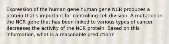 Expression of the human gene human gene NCR produces a protein that's important for controlling cell division. A mutation in the NCR gene that has been linked to various types of cancer decreases the activity of the NCR protein. Based on this information, what is a reasonable prediction?