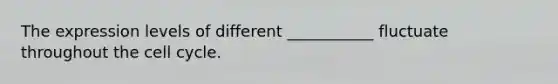 The expression levels of different ___________ fluctuate throughout the <a href='https://www.questionai.com/knowledge/keQNMM7c75-cell-cycle' class='anchor-knowledge'>cell cycle</a>.