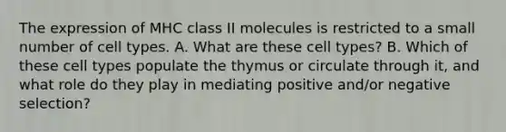 The expression of MHC class II molecules is restricted to a small number of cell types. A. What are these cell types? B. Which of these cell types populate the thymus or circulate through it, and what role do they play in mediating positive and/or negative selection?