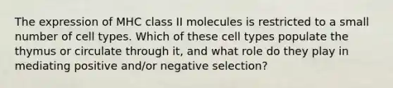 The expression of MHC class II molecules is restricted to a small number of cell types. Which of these cell types populate the thymus or circulate through it, and what role do they play in mediating positive and/or negative selection?