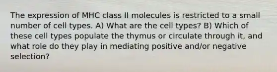 The expression of MHC class II molecules is restricted to a small number of cell types. A) What are the cell types? B) Which of these cell types populate the thymus or circulate through it, and what role do they play in mediating positive and/or negative selection?