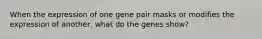 When the expression of one gene pair masks or modifies the expression of another, what do the genes show?