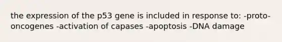 the expression of the p53 gene is included in response to: -proto-oncogenes -activation of capases -apoptosis -DNA damage