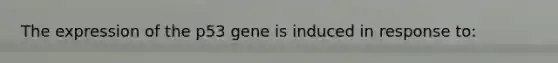 The expression of the p53 gene is induced in response to: