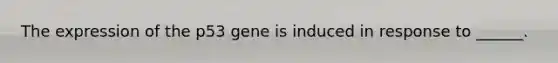 The expression of the p53 gene is induced in response to ______.