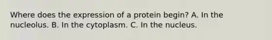 Where does the expression of a protein begin? A. In the nucleolus. B. In the cytoplasm. C. In the nucleus.