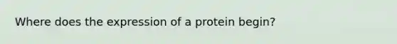 Where does the expression of a protein begin?