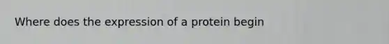 Where does the expression of a protein begin