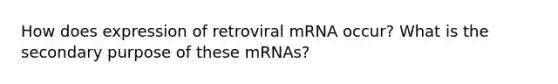 How does expression of retroviral mRNA occur? What is the secondary purpose of these mRNAs?