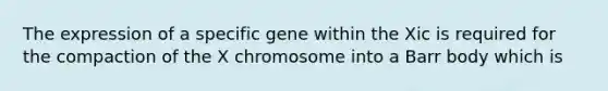 The expression of a specific gene within the Xic is required for the compaction of the X chromosome into a Barr body which is