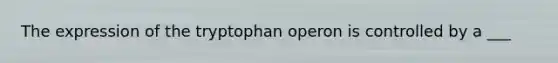 The expression of the tryptophan operon is controlled by a ___