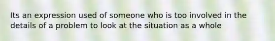 Its an expression used of someone who is too involved in the details of a problem to look at the situation as a whole